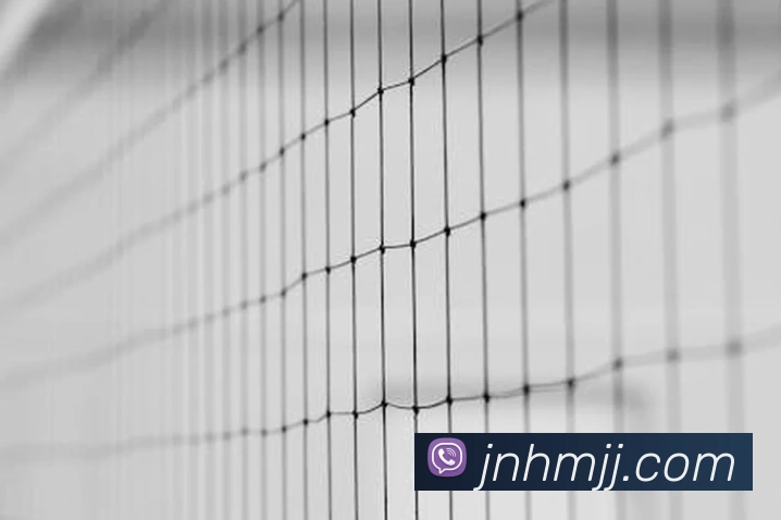 豪门国际发展历程